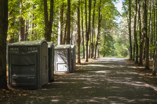 Best Local porta potty services  in Daingerfield, TX